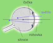 Schéma oka
