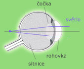 Schéma oka