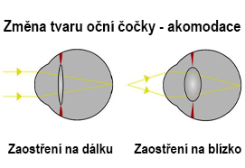ilustrační foto